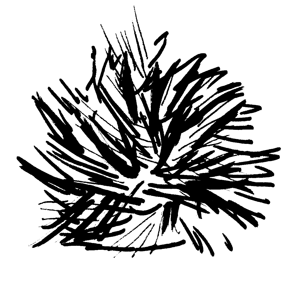 Gutmann windscreen for handheld recorders